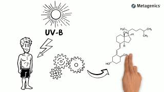 Vitamin D an Essential Nutrient Ideal for Optimal Health [upl. by Blanca237]