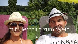 mit Herzblut zum Wein Vlog 1  Laubschneiden [upl. by Quillon]