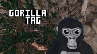 Gorilla TagPvvbPbbv sighting entity is here [upl. by Ettesil]