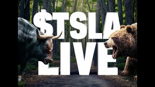 TSLA LIVE  Episode 49 [upl. by Dnalerb466]