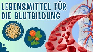 8 Lebensmittel die gut für die Blutbildung sind [upl. by Tam]