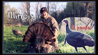 Boss TomSon  5 YARDS  Illinois turkey hunting Long beard Success [upl. by Griseldis]