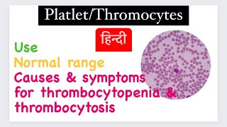 Platelet in hindi  Use  Function  causes and symptoms of thrombocytopenia amp thromcytosis [upl. by Ilac555]