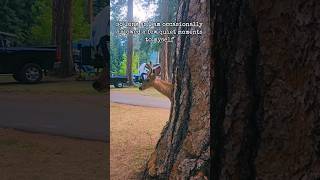 Wallowa Lake Oregon natureshorts campinglife relaxingvideo [upl. by Labors]