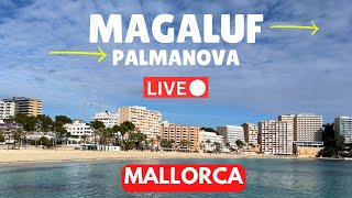 LIVE in Magaluf and Palmanova Majorca Mallorca  25 February 2024 [upl. by Atineb]