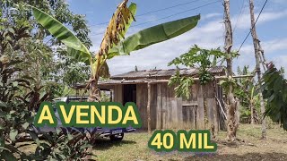 A VENDA em Ilhéus 1 hectare por 40 mil ilheusnaroca [upl. by Lleder425]