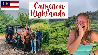 Ultimate CAMERON HIGHLANDS Day Tour Experience Not Just Tea Plantations [upl. by Clerissa]