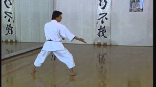 Gojushiho Sho  Efthimios Karamitsos  Karate  Kata  Shotokan [upl. by Heathcote947]