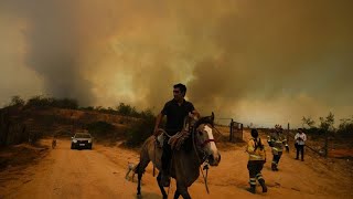 Los incendios en Chile dejan al menos 51 muertos el Gobierno advierte que las víctimas aumentarán [upl. by Tannie]