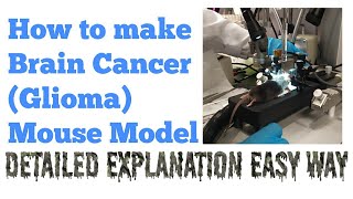 Xenograft Glioma Mouse Model Brain Cancer Model  Research Technique  Dr Abi Greek [upl. by Einaffets]