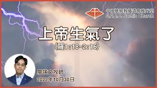 講道：上帝生氣了！ 羅118216 廖諾文牧師 Rev Arthur Liu 雅斤堂 20221030 [upl. by Nare405]