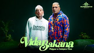 Peipper Callejero Fino  Vida Bakana Video Oficial [upl. by Ycnuahc]