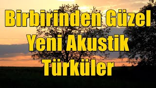 Akustik Türküler  Birbirinden Güzel Yeni Türküler 2024 türkü [upl. by Leummas]