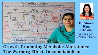 Growth Promoting Metabolic Alterations The Warburg Effect  Oncometabolism  Autophagy [upl. by Teodor]