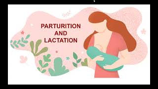 HUMAN REPRODUCTION  PART6 PARTURITION AND LACTATION [upl. by Sergu]