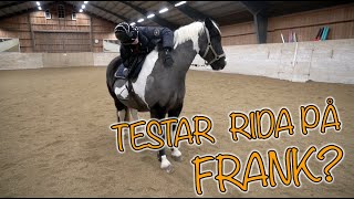 STALL VLOGG  TESTAR RIDA PÅ FRANK [upl. by Philo]