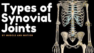 Types of Synovial Joints [upl. by Pejsach]