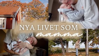 LIVET SOM NY MAMMA👶🏼🍼  uppfostran höstens trädgård amp trötta men glada🧡🍂 [upl. by Almat]