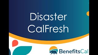 BenefitsCal Disaster CalFresh [upl. by Eninej]