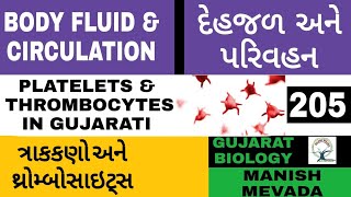 PLATELETS amp THROMBOCYTES IN GUJARATI  ત્રાકકણો અને થ્રોમ્બોસાઇટ્સ [upl. by Pamella]