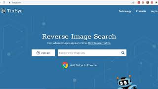 Using reverse image search engine Tineye [upl. by Elysee561]