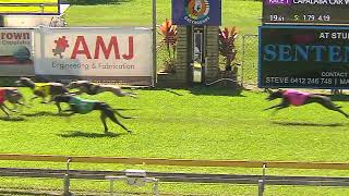 Capalaba08092024Race1 [upl. by Michon]