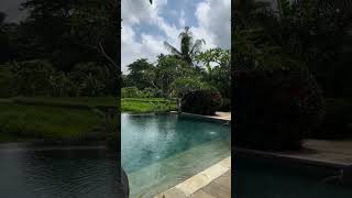 3 Bedroom Villa  Ubud  Monthly Villa Rental  VR3169 [upl. by Fuchs]