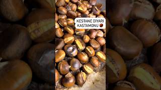 Kestane Diyarı Kastamonu 🥰 youtubeshorts shorts [upl. by Gehlbach]