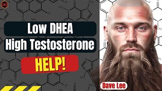 Low DHEA High Testosterone [upl. by Liamsi]