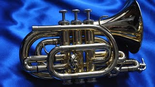 Review Manchester Brass Pocket Trumpet  Very Nice [upl. by Llenad429]