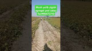 Mosh yulib yigish agregat pod zakaz automobile farming agriculture fargonamashinabozorinarxlari [upl. by Orford]