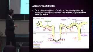 HighBlood Pressure Diuretics Function and SideEffects 210 [upl. by Pete568]