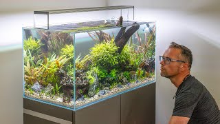 Pro Grade High Tech Aquascape Makeover 4K [upl. by Nyl]