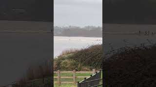 Severn bore 2024 3 newnham [upl. by Atarman596]