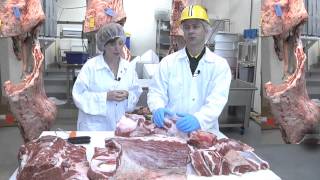 Meat Mythcrushers How Ground Beef Is Made [upl. by Tayyebeb]