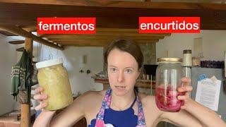 Encurtidos vs Fermentos  la guía completa [upl. by Denis745]