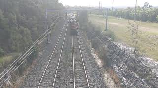 4903 and 4836 on 9L41 Kiama picnic train 15 September 2024 [upl. by Tneciv]