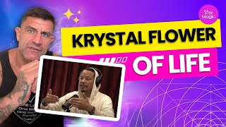 Terrence Howard and Joe Rogan Spirals Geometry and Magic [upl. by Aiykan146]