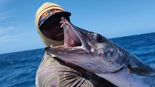 Guerreiros Do Mar ENCONTRAMOS O CARDUME DOS SONHOSCADA ISCA NA ÁGUA ERA CERTEZA UM PEIXE GRANDE [upl. by Kcid]