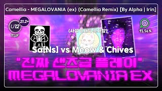 27시간 박은 나는 멍청이 I Megalovania EX [upl. by Ondrej520]