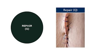 Inpatient Coding Training Series ICD10PCS  Part47Character3 Root Operations  Group 8  Repair [upl. by Sugirdor685]