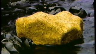 Wood Line by Andy Goldsworthy [upl. by Lliw]