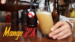 Idiots Guide to Making Incredible Beer at Home [upl. by Oniliuqnart]