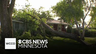 Why is homeowners insurance on the rise in Minnesota [upl. by Jose]