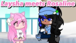 Laysha meets Rosaline [upl. by Anoved998]