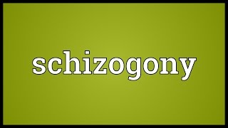 Schizogony Meaning [upl. by Fisher794]