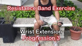 Resistance Band Exercises for Golf Elbow amp Tennis Elbow Tendonitis [upl. by Eppilihp]