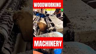 The Power of Woodworking Machinery shorts woodworking [upl. by Norihs]