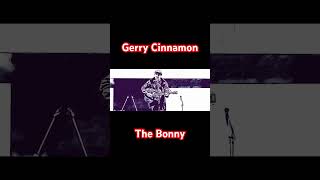 Gerry Cinnamon The Bonny edit gerrycinnamon music hampdenpark [upl. by Suivatram]