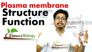 Plasma membrane structure and function [upl. by Englebert]